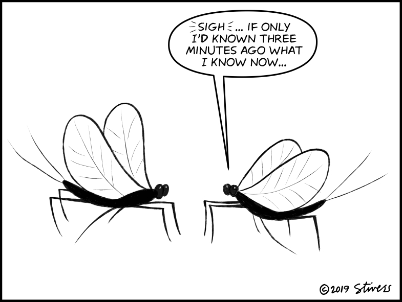 Mayfly regrets